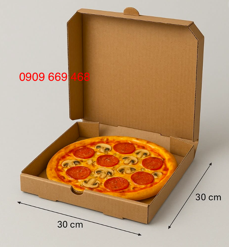 HỘP GIẤY ĐỰNG PIZZA, GÀ NƯỚNG & ĐỒ ĂN